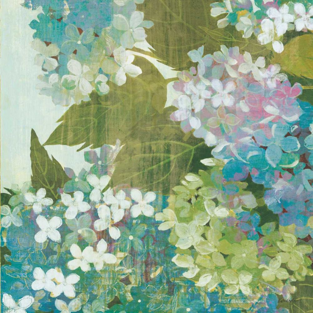 Grandiflora Bloom II art print by Kathrine Lovell for $57.95 CAD