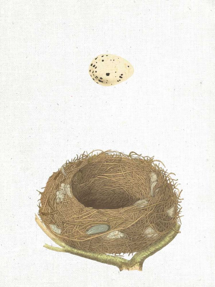 Spring Nest III art print by Wild Apple Portfolio for $57.95 CAD