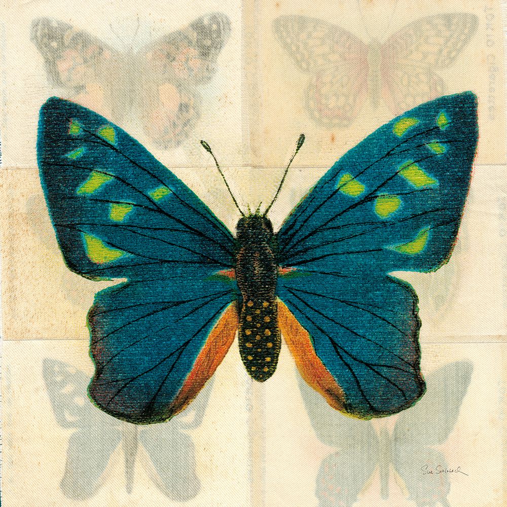 Silk Butterfly IV No Border art print by Sue Schlabach for $57.95 CAD