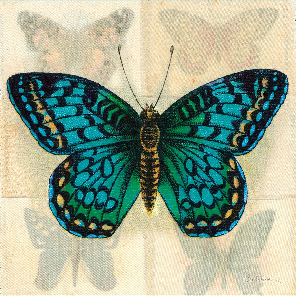 Silk Butterfly I No Border art print by Sue Schlabach for $57.95 CAD
