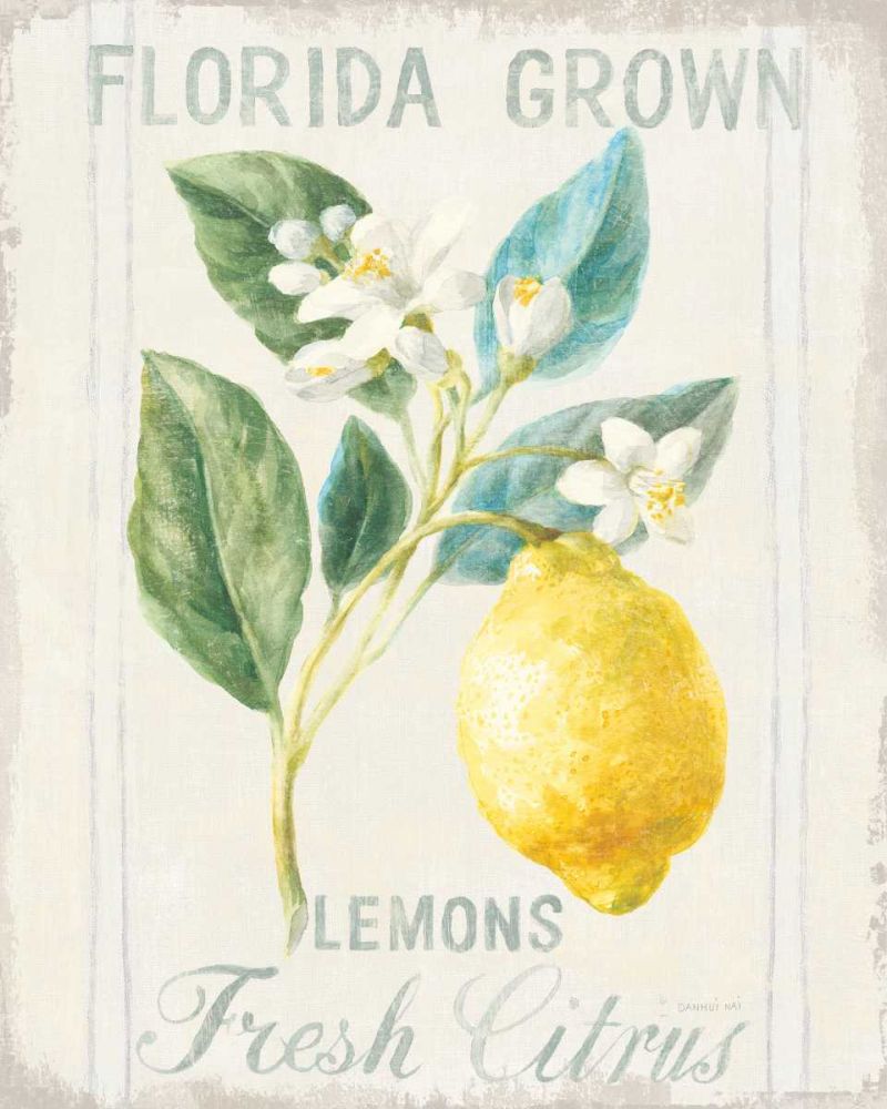 Floursack Lemon I art print by Danhui Nai for $57.95 CAD