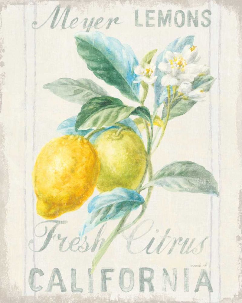 Floursack Lemon II art print by Danhui Nai for $57.95 CAD