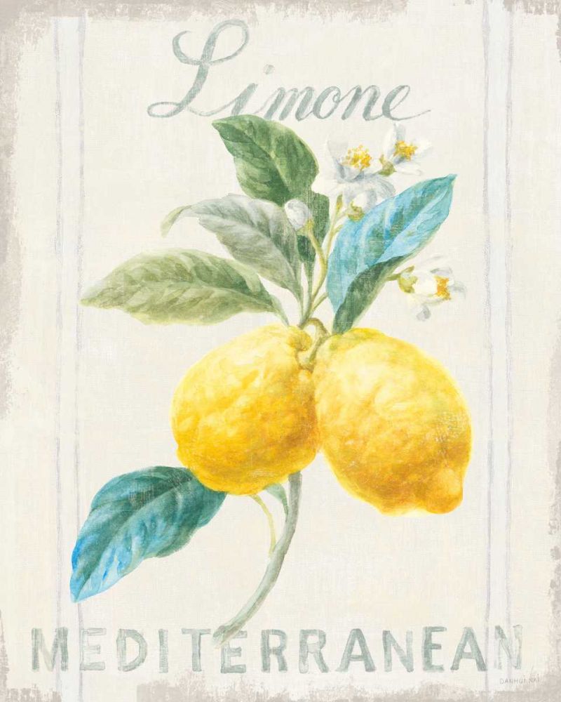 Floursack Lemon III art print by Danhui Nai for $57.95 CAD