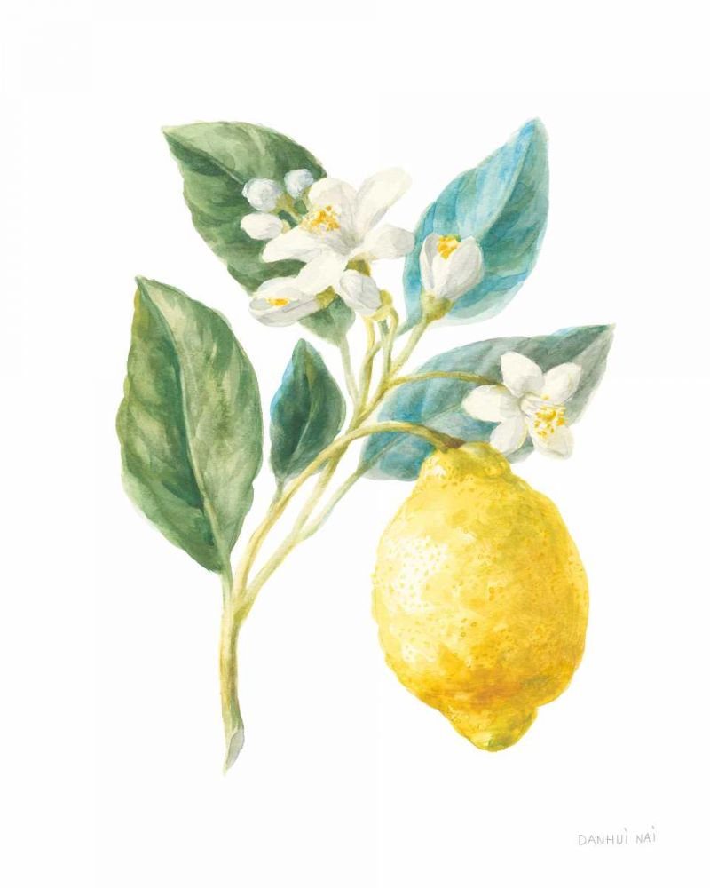 Floursack Lemon I on White art print by Danhui Nai for $57.95 CAD