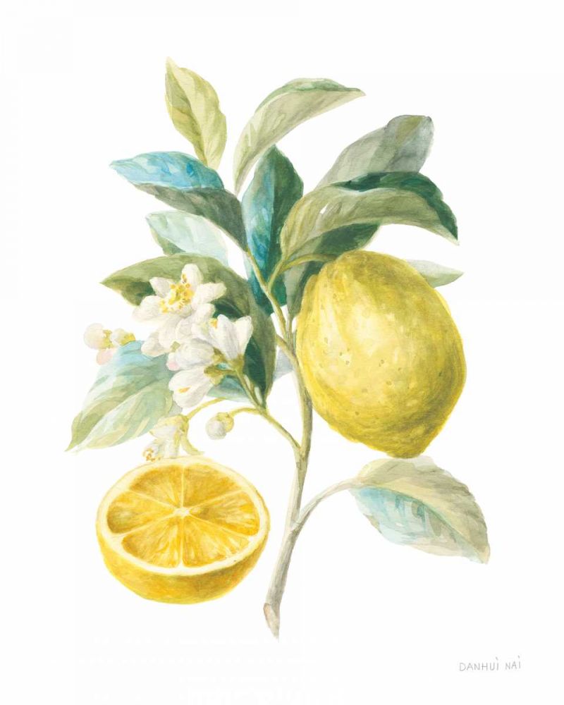 Floursack Lemon III on White art print by Danhui Nai for $57.95 CAD