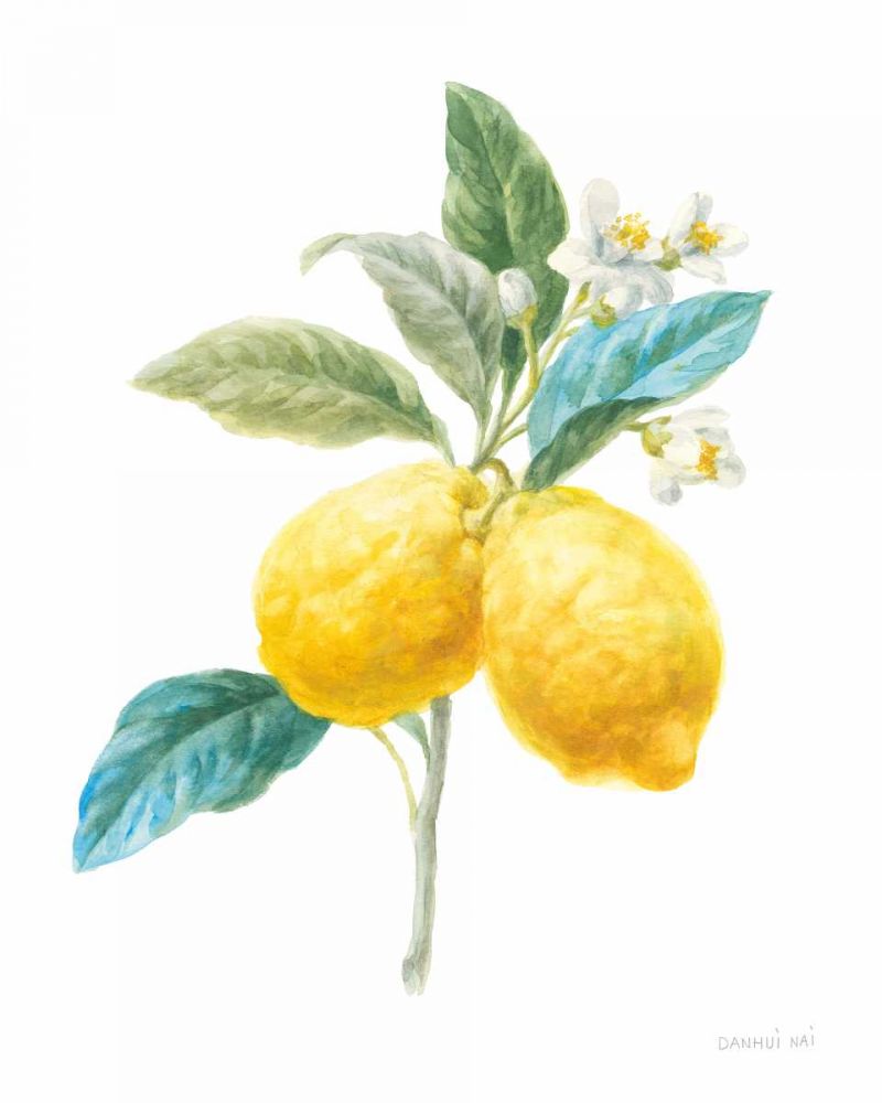 Floursack Lemon IV on White art print by Danhui Nai for $57.95 CAD