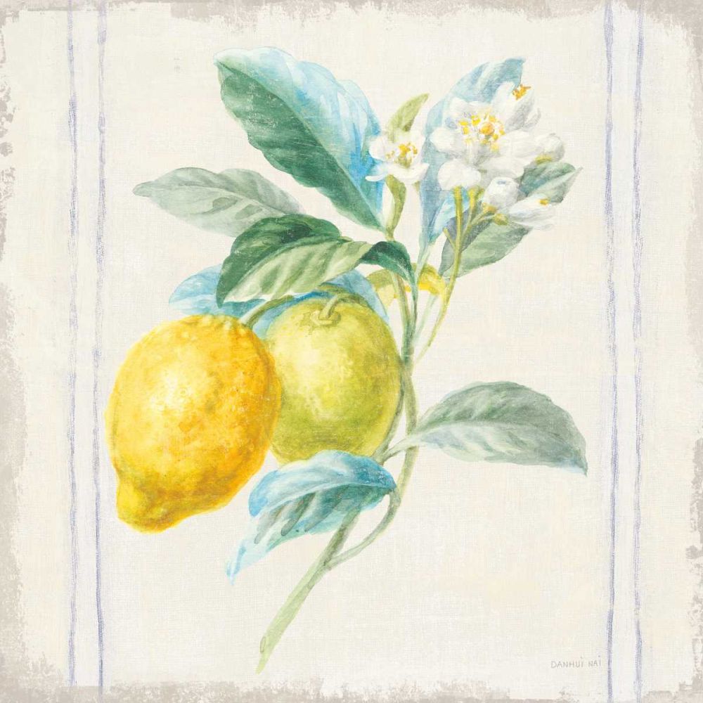 Floursack Lemons II Sq Navy art print by Danhui Nai for $57.95 CAD