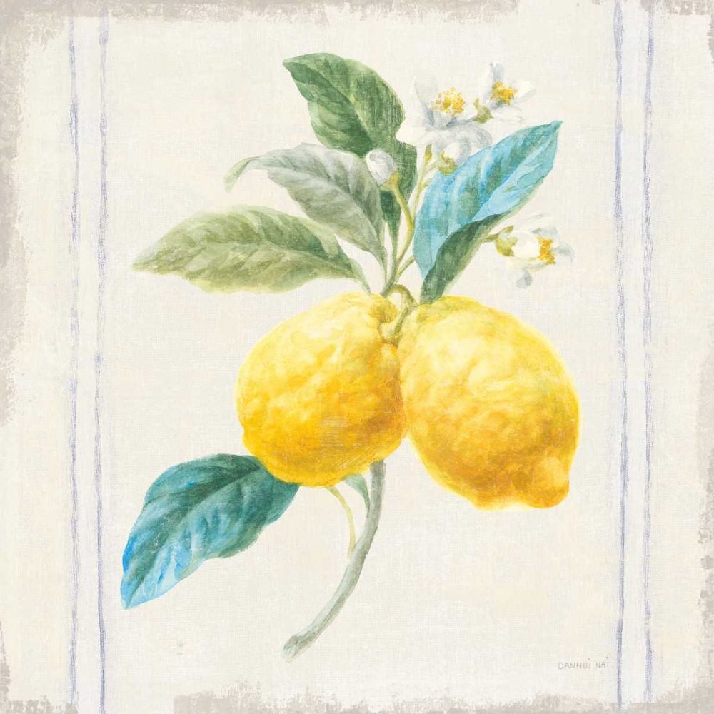 Floursack Lemons III Sq Navy art print by Danhui Nai for $57.95 CAD