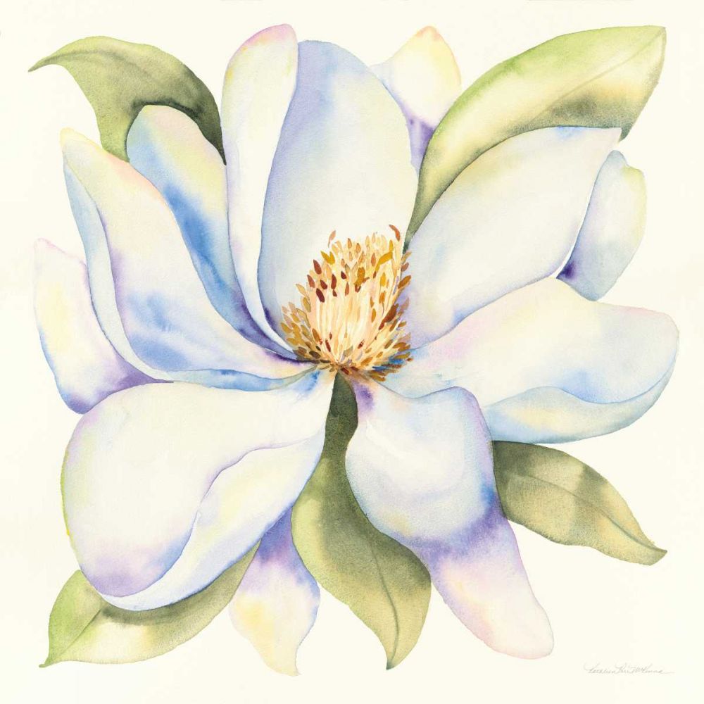Magnolia art print by Kathleen Parr McKenna for $57.95 CAD