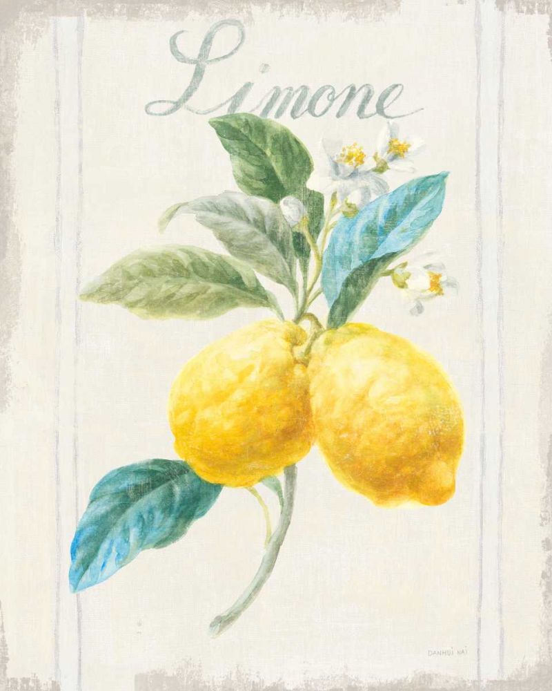 Floursack Lemon III v2 art print by Danhui Nai for $57.95 CAD