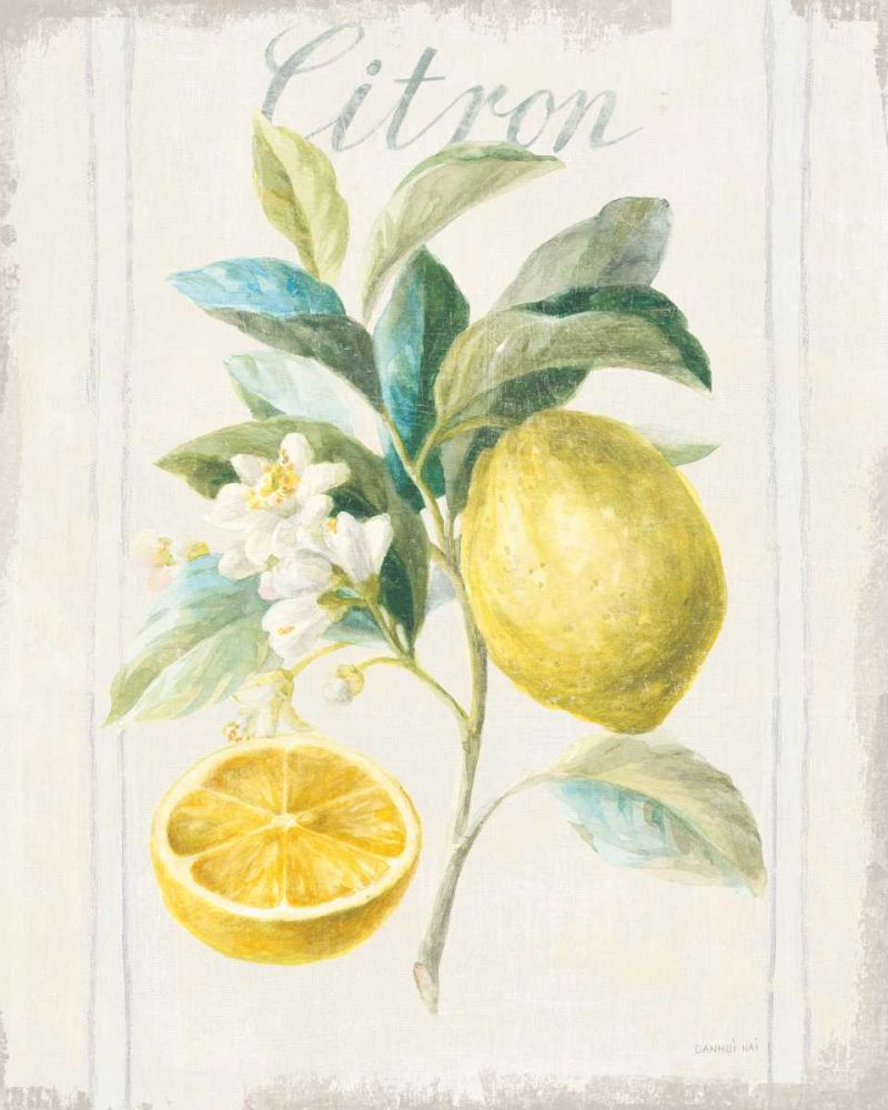Floursack Lemon IV v2 art print by Danhui Nai for $57.95 CAD