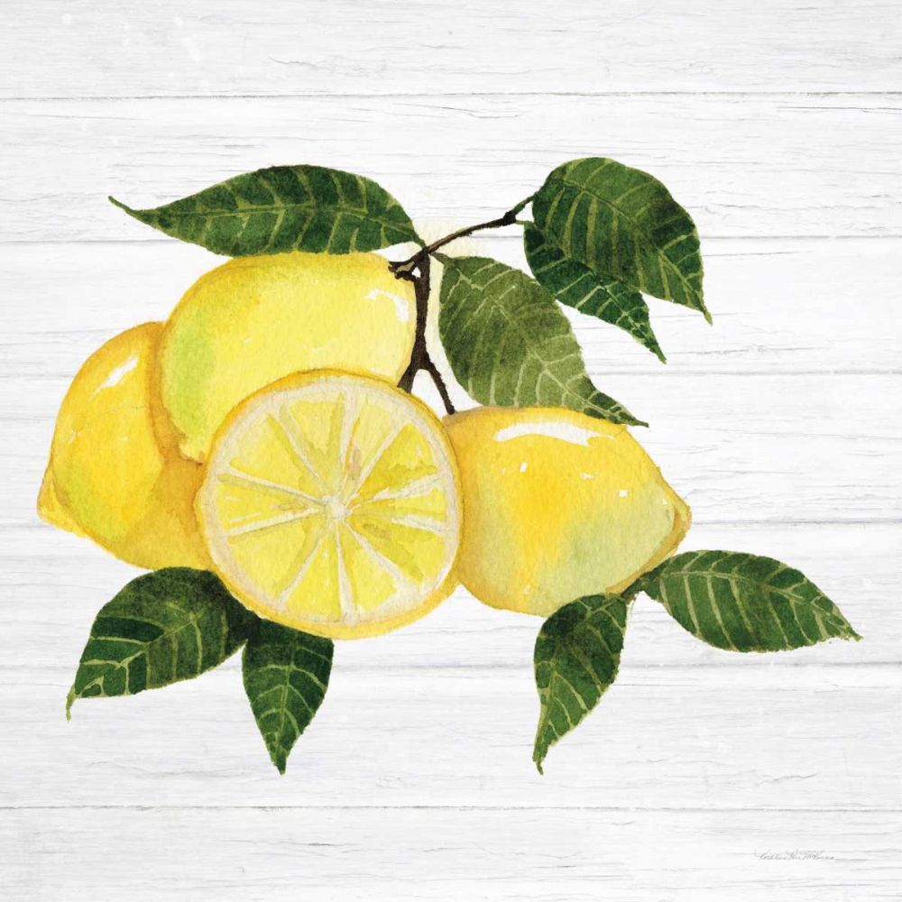 Citrus Garden VI Shiplap art print by Kathleen Parr McKenna for $57.95 CAD