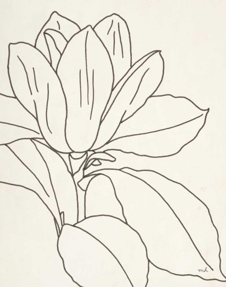 Magnolia Line Drawing v2 Crop art print by Moira Hershey for $57.95 CAD