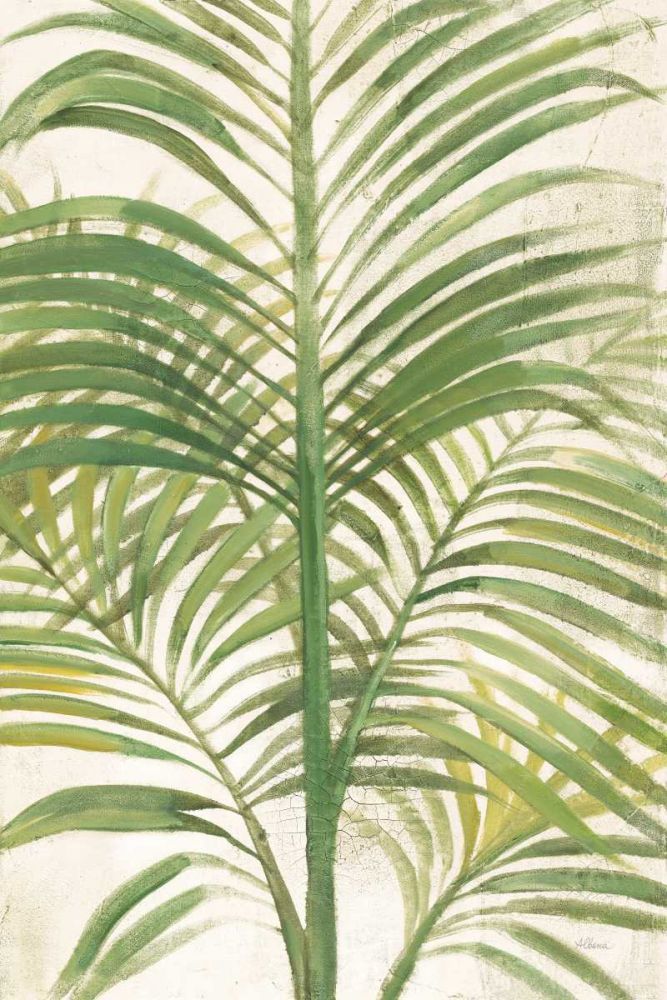 Palms II Bright art print by Albena Hristova for $57.95 CAD