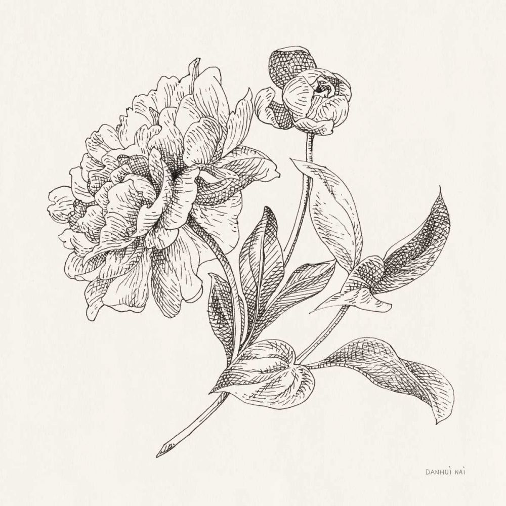 Flower Sketches I art print by Danhui Nai for $57.95 CAD