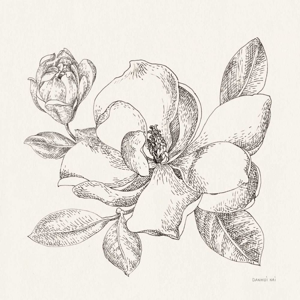 Flower Sketches II art print by Danhui Nai for $57.95 CAD
