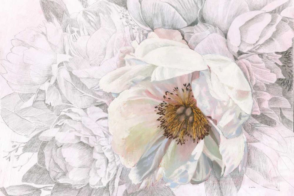 Blooming Sketch art print by James Wiens for $57.95 CAD
