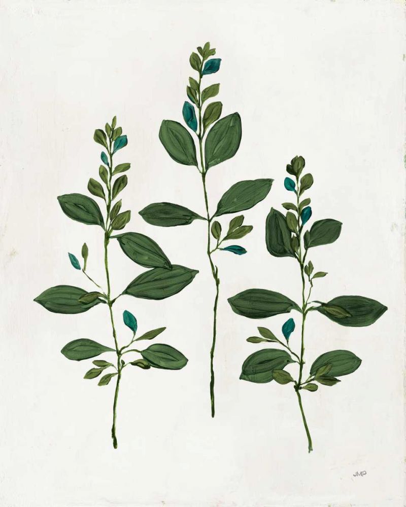 Botanical Study IV Greenery art print by Julia Purinton for $57.95 CAD