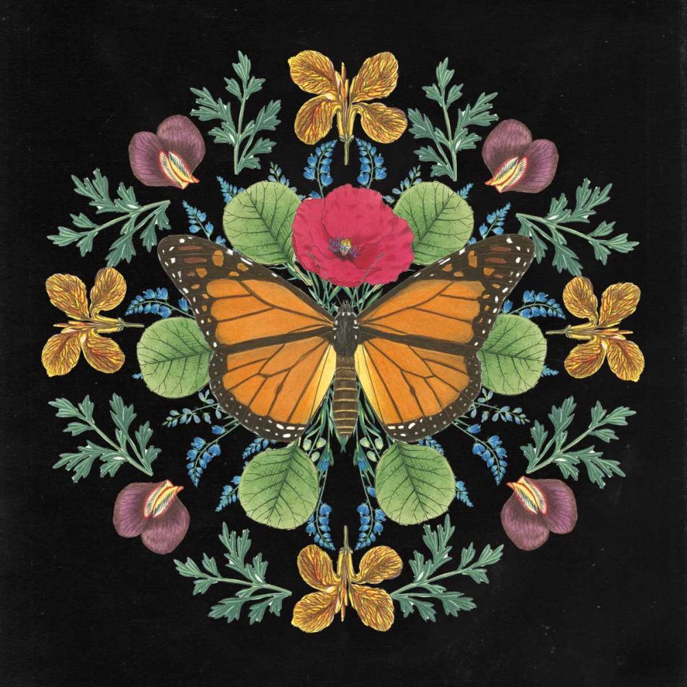 Butterfly Mandala I Black art print by Wild Apple Portfolio for $57.95 CAD