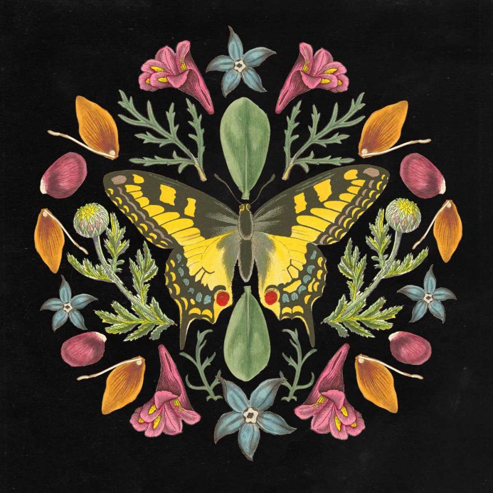 Butterfly Mandala III Black art print by Wild Apple Portfolio for $57.95 CAD