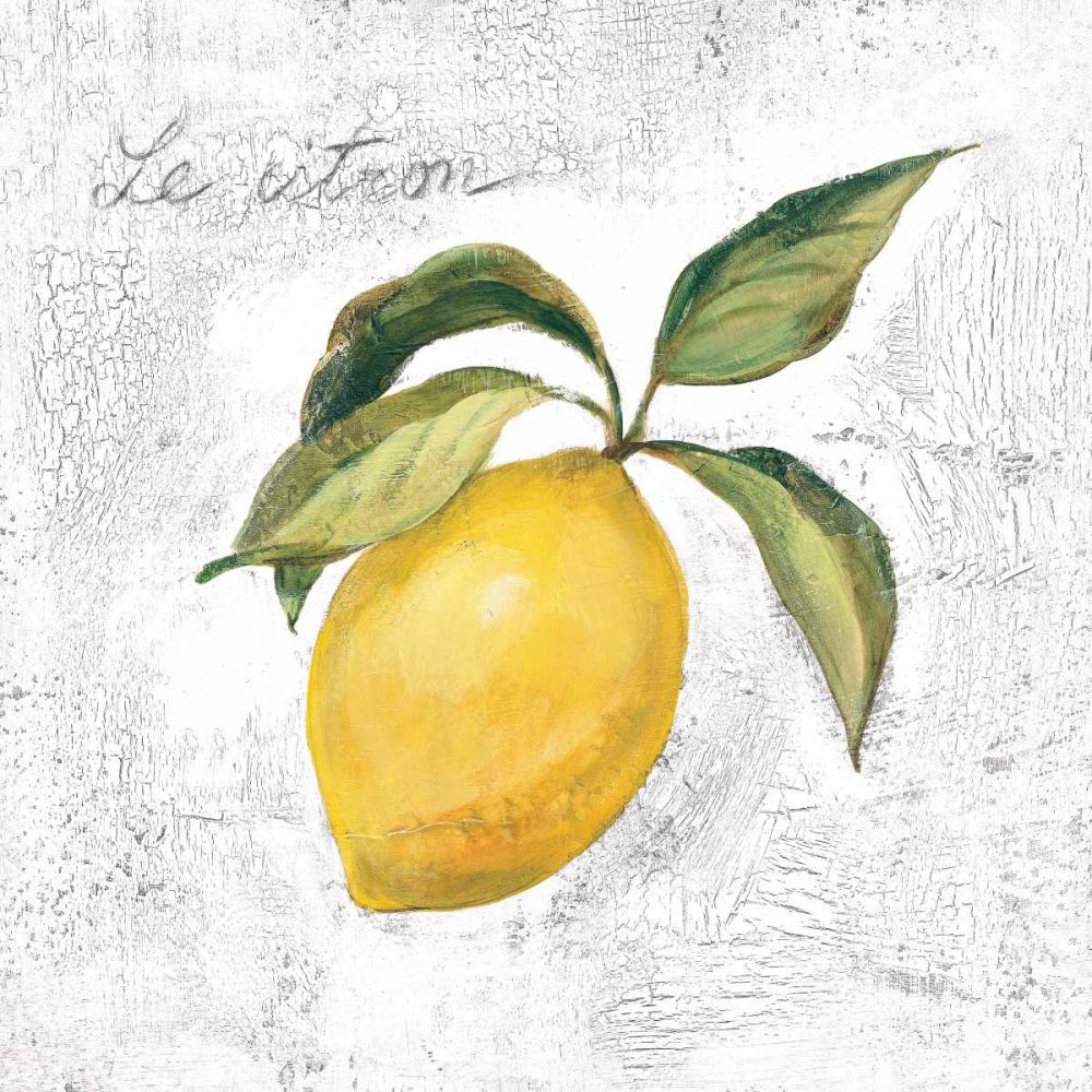 Le Citron on White art print by Silvia Vassileva for $57.95 CAD