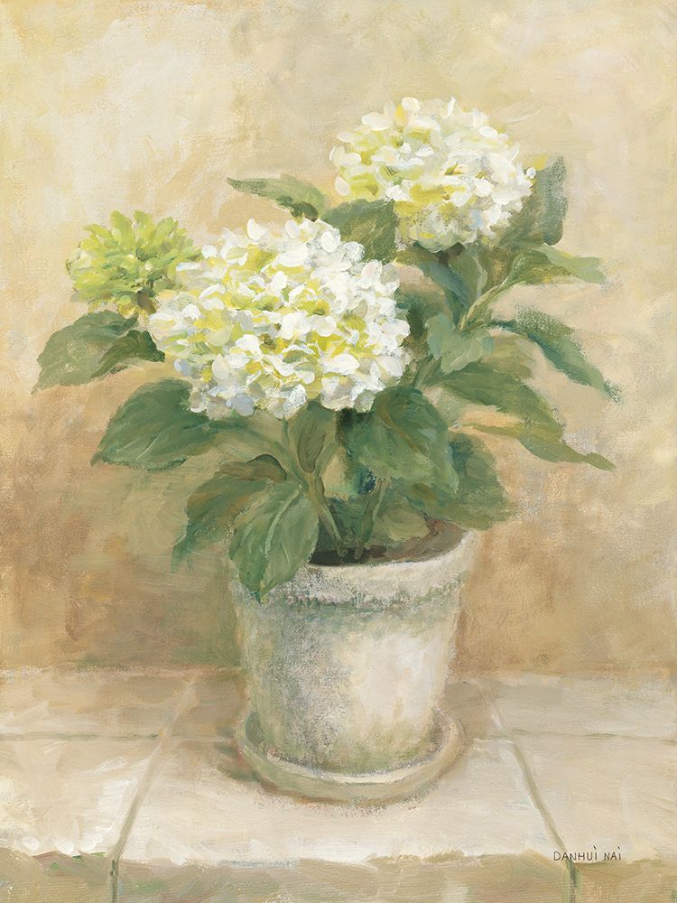 Pot of White Hydrangea art print by Danhui Nai for $57.95 CAD