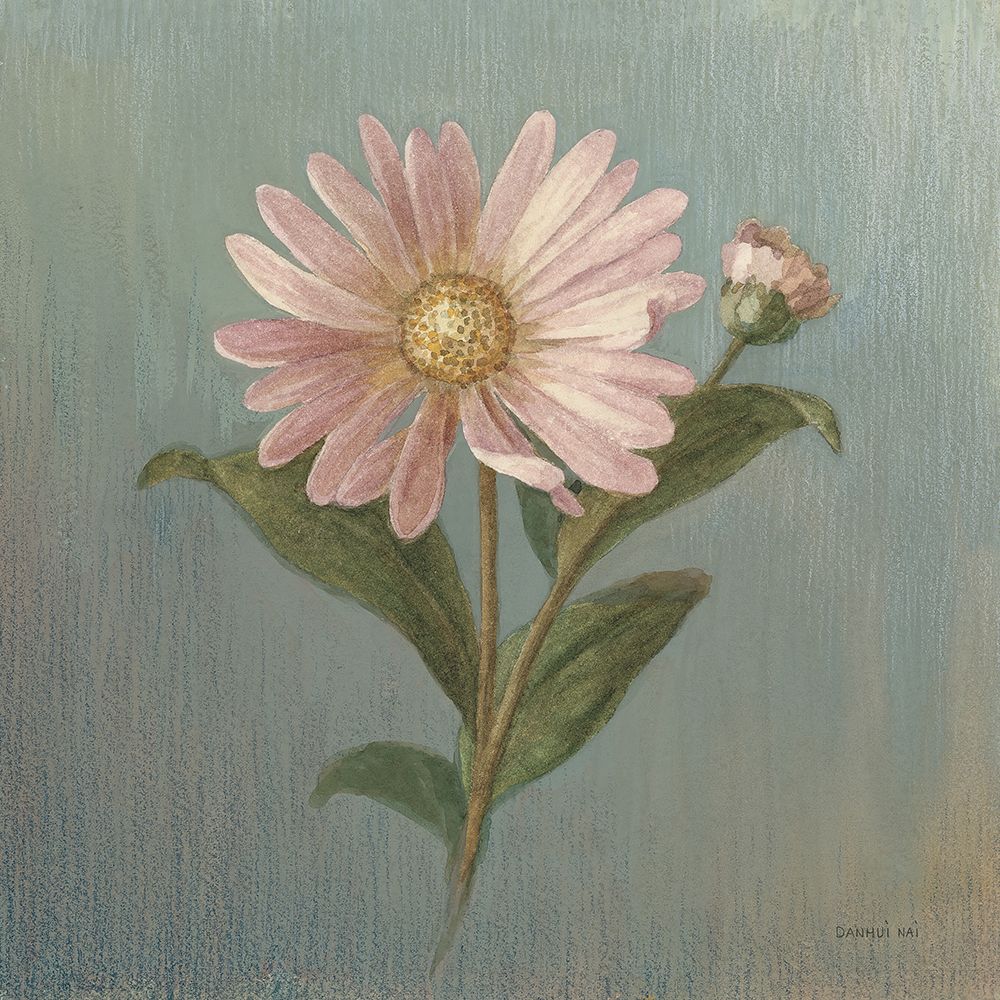 Cottage Aster art print by Danhui Nai for $57.95 CAD