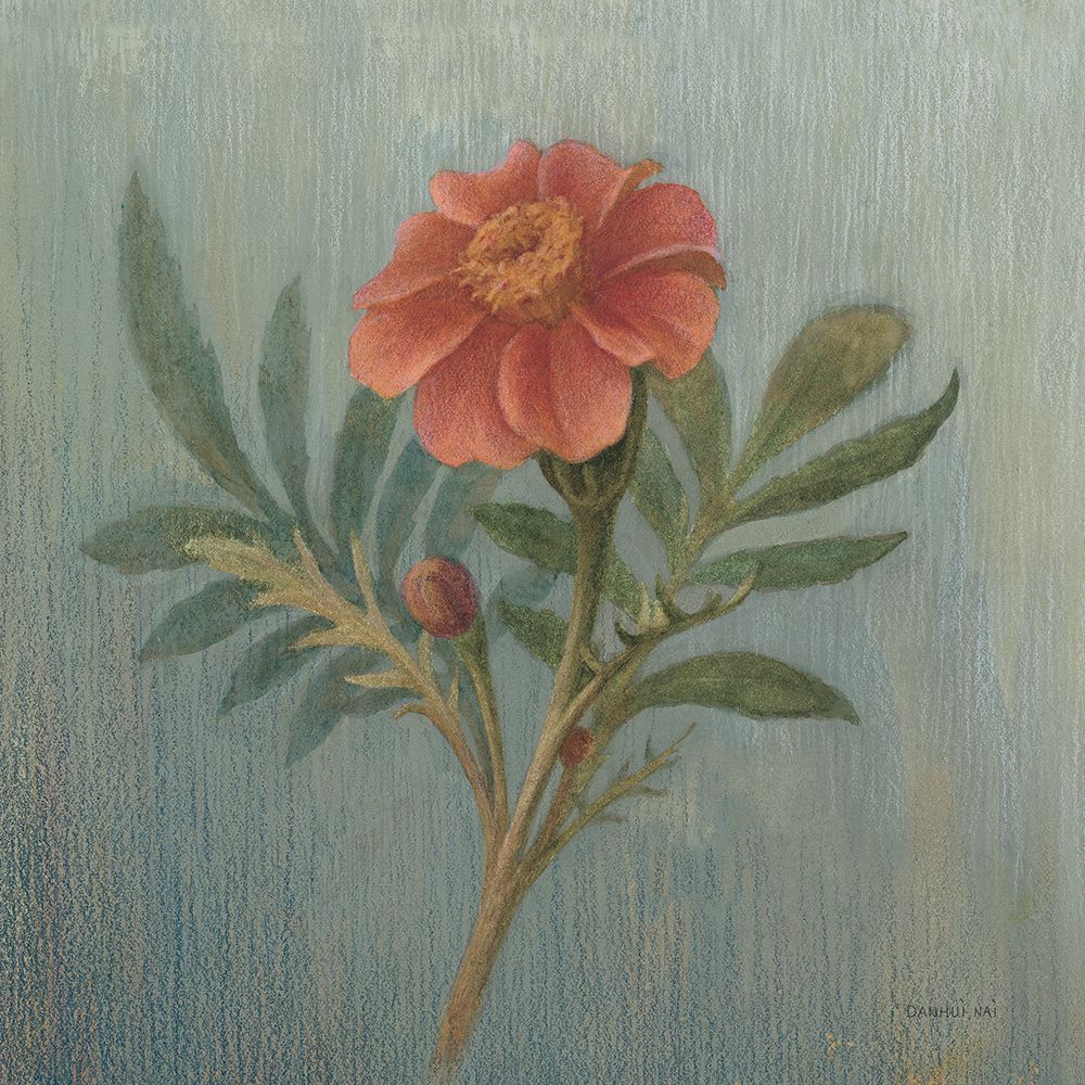 Cottage Zinnia art print by Danhui Nai for $57.95 CAD
