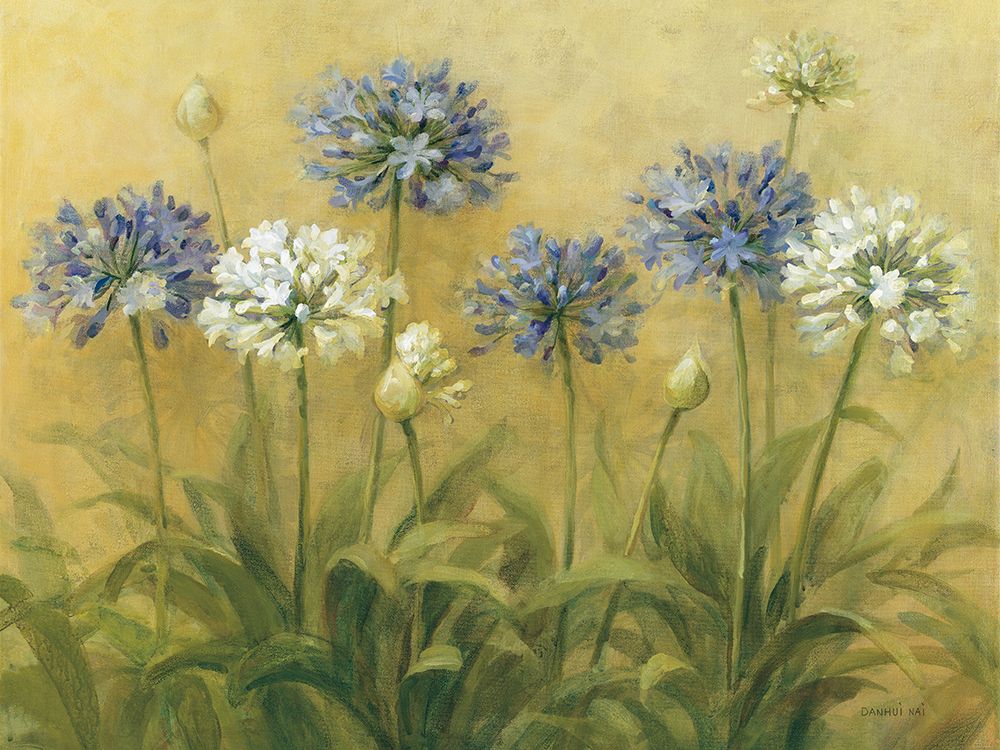 Agapanthus art print by Danhui Nai for $57.95 CAD