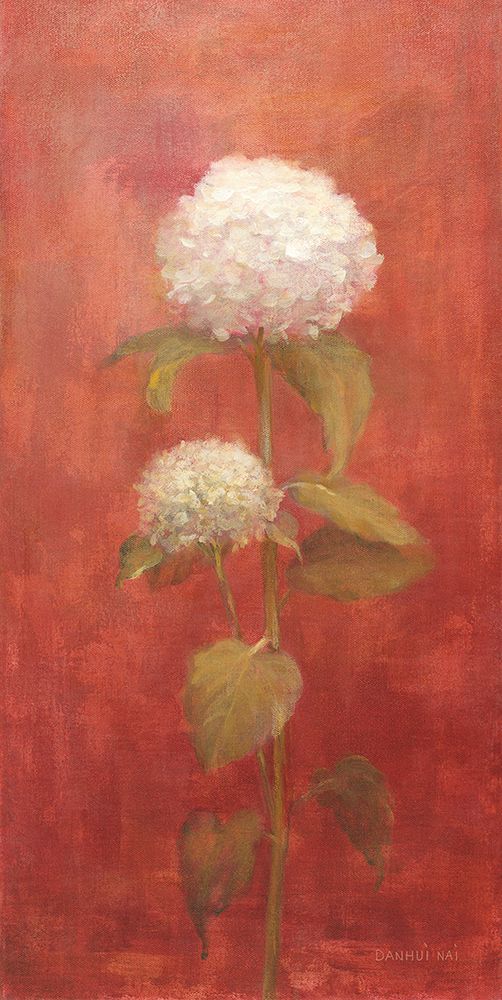 White Hydrangea on Red art print by Danhui Nai for $57.95 CAD