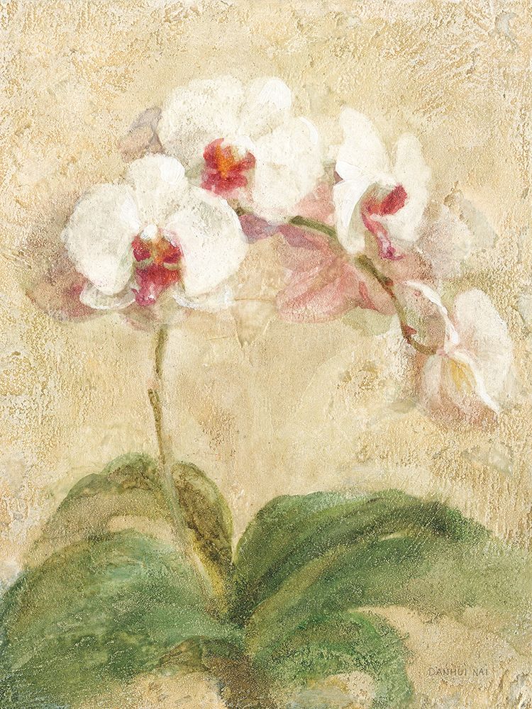 Dreamy Orchids I art print by Danhui Nai for $57.95 CAD