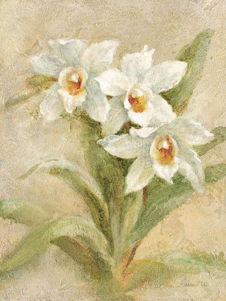 Dreamy Orchids II art print by Danhui Nai for $57.95 CAD