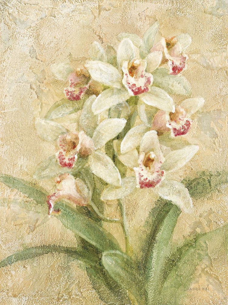 Dreamy Orchids III art print by Danhui Nai for $57.95 CAD