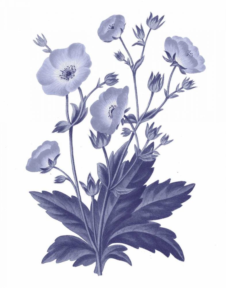 Dark Blue Botanical VI art print by Wild Apple Portfolio for $57.95 CAD