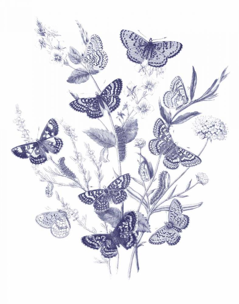 Butterfly Bouquet I Blue art print by Wild Apple Portfolio for $57.95 CAD