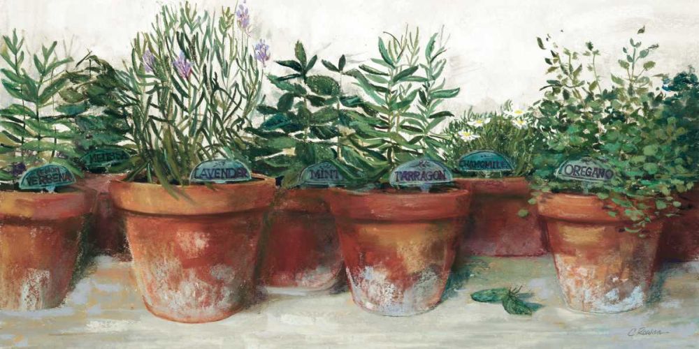 Pots of Herbs I White art print by Carol Rowan for $57.95 CAD