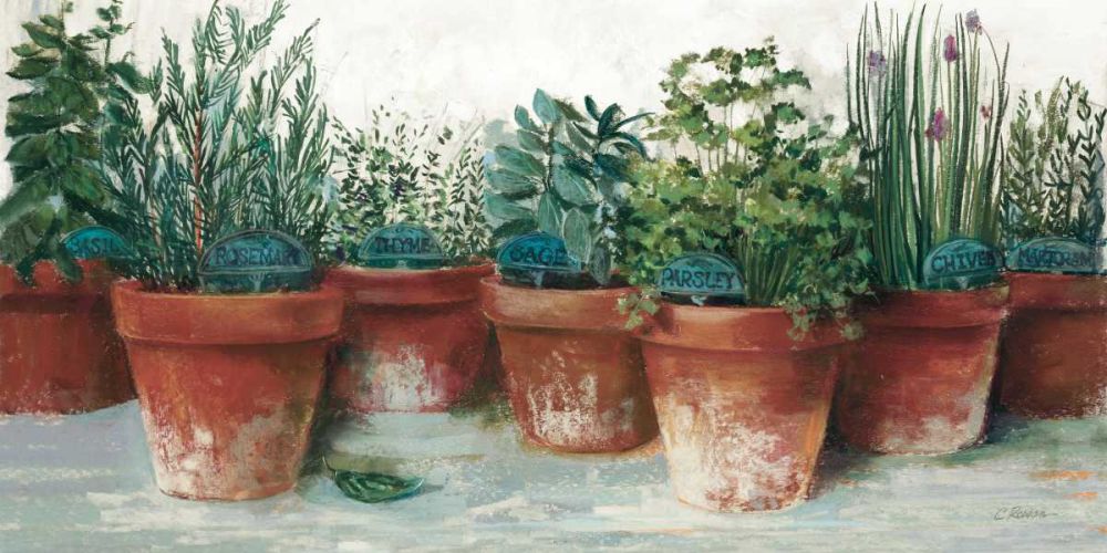 Pots of Herbs II White art print by Carol Rowan for $57.95 CAD