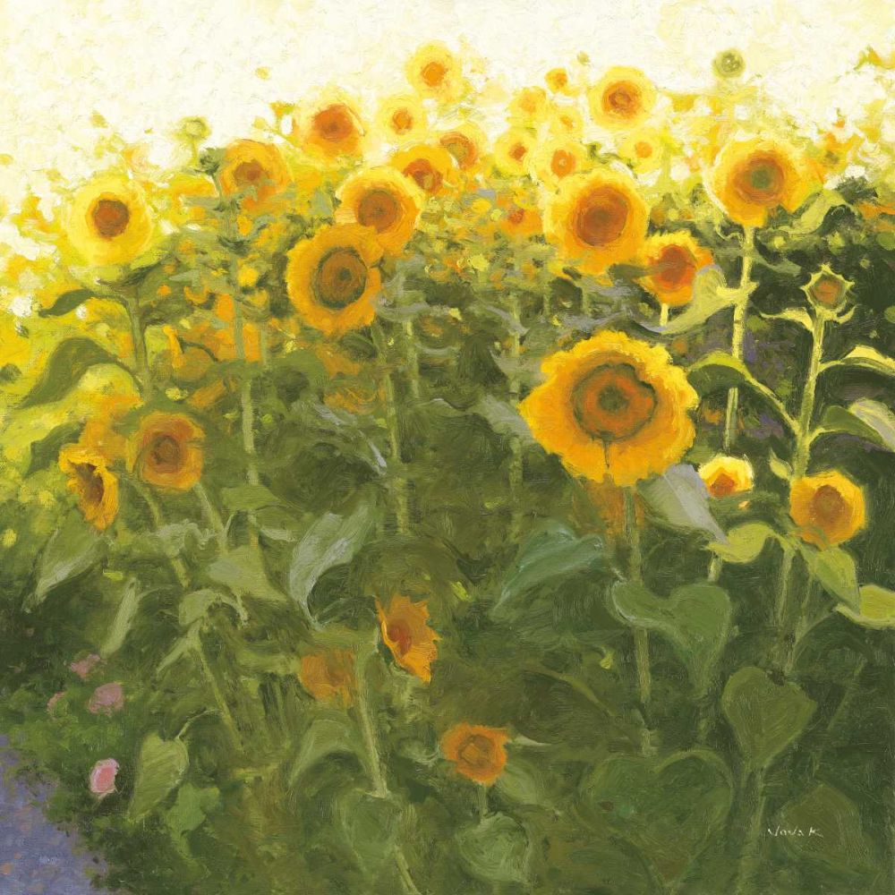 Sunflower Field art print by Shirley Novak for $57.95 CAD