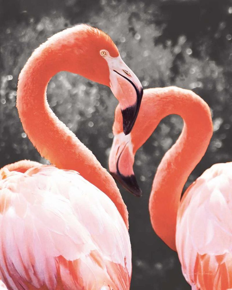 Flamingo II on BW art print by Debra Van Swearingen for $57.95 CAD