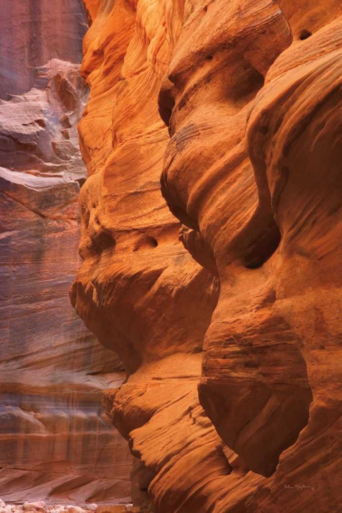 Buckskin Gulch III art print by Alan Majchrowicz for $57.95 CAD