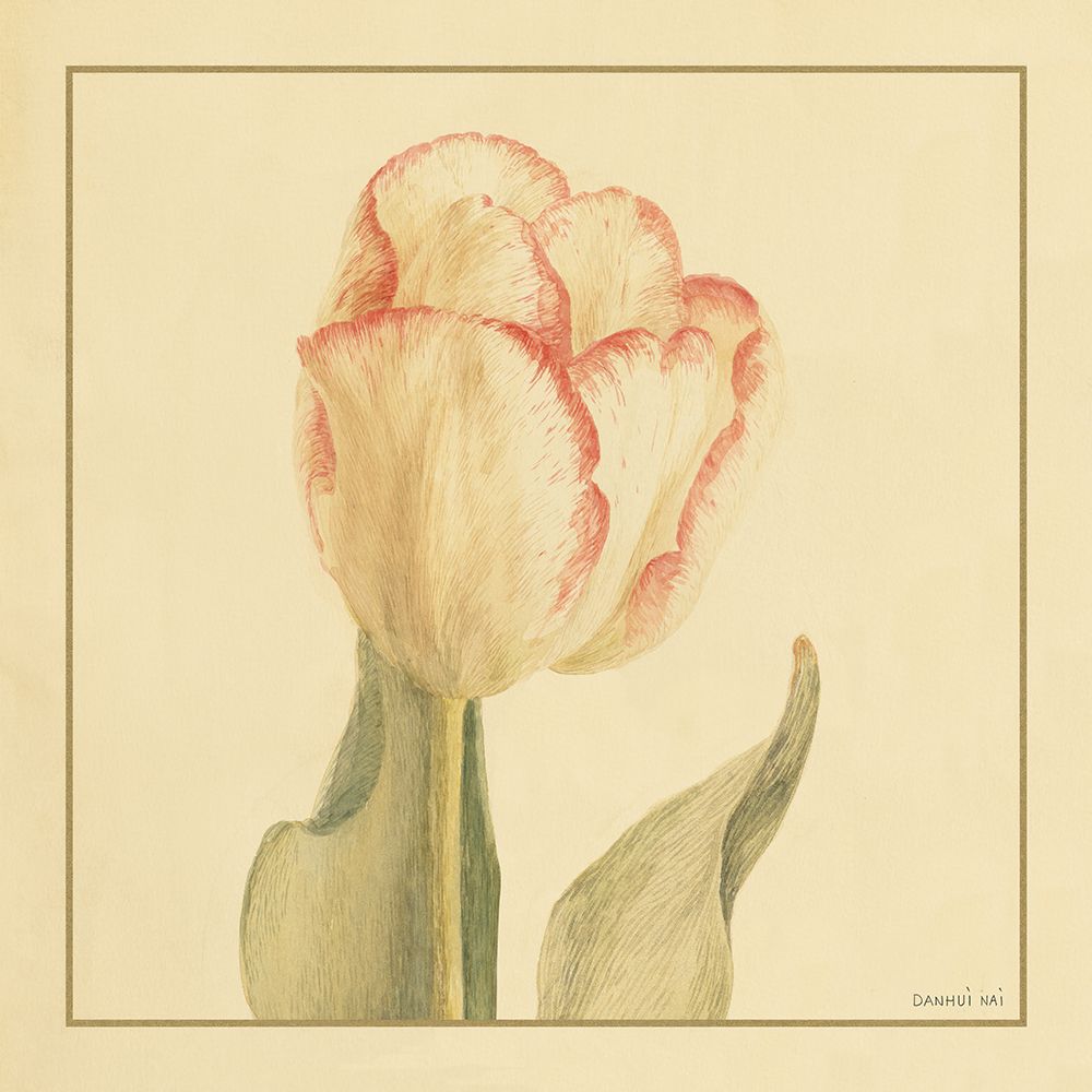 Tulip I art print by Danhui Nai for $57.95 CAD