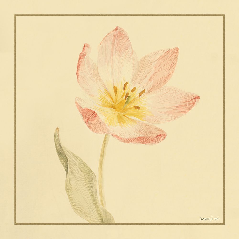 Tulip II art print by Danhui Nai for $57.95 CAD