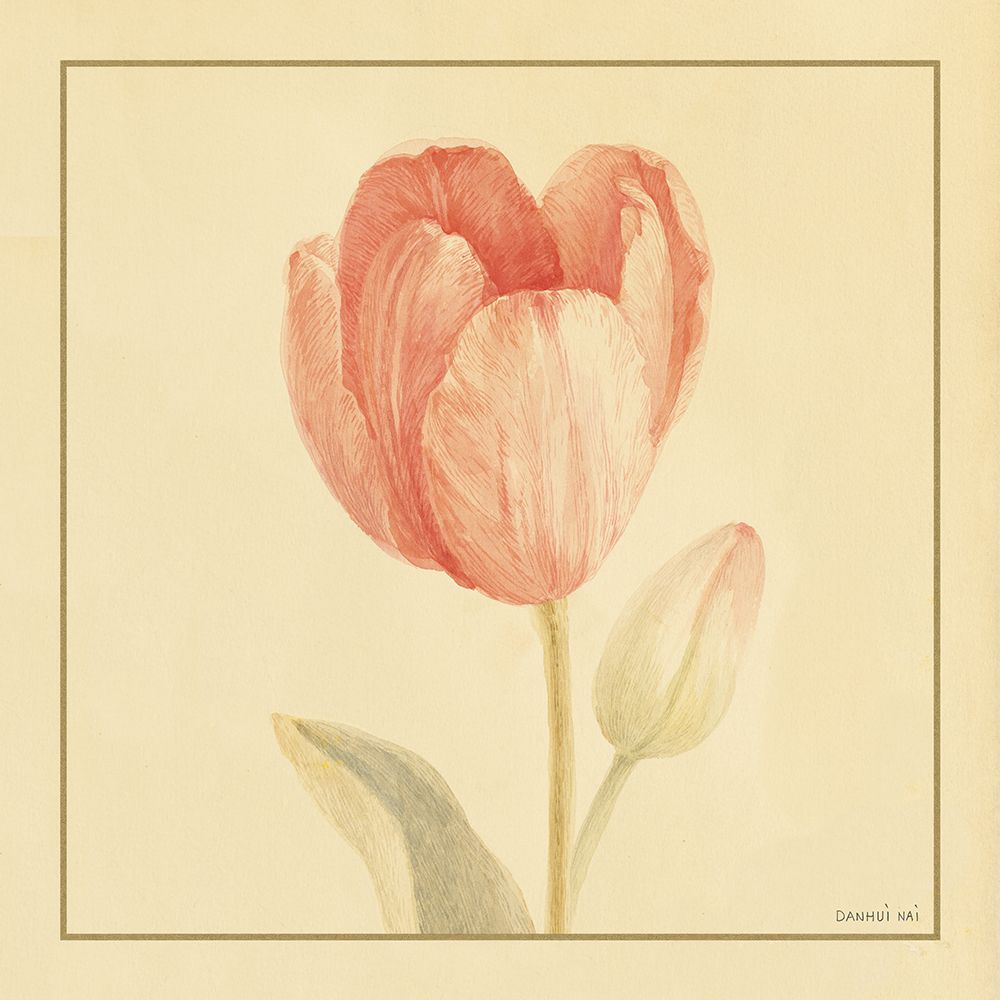 Tulip III art print by Danhui Nai for $57.95 CAD