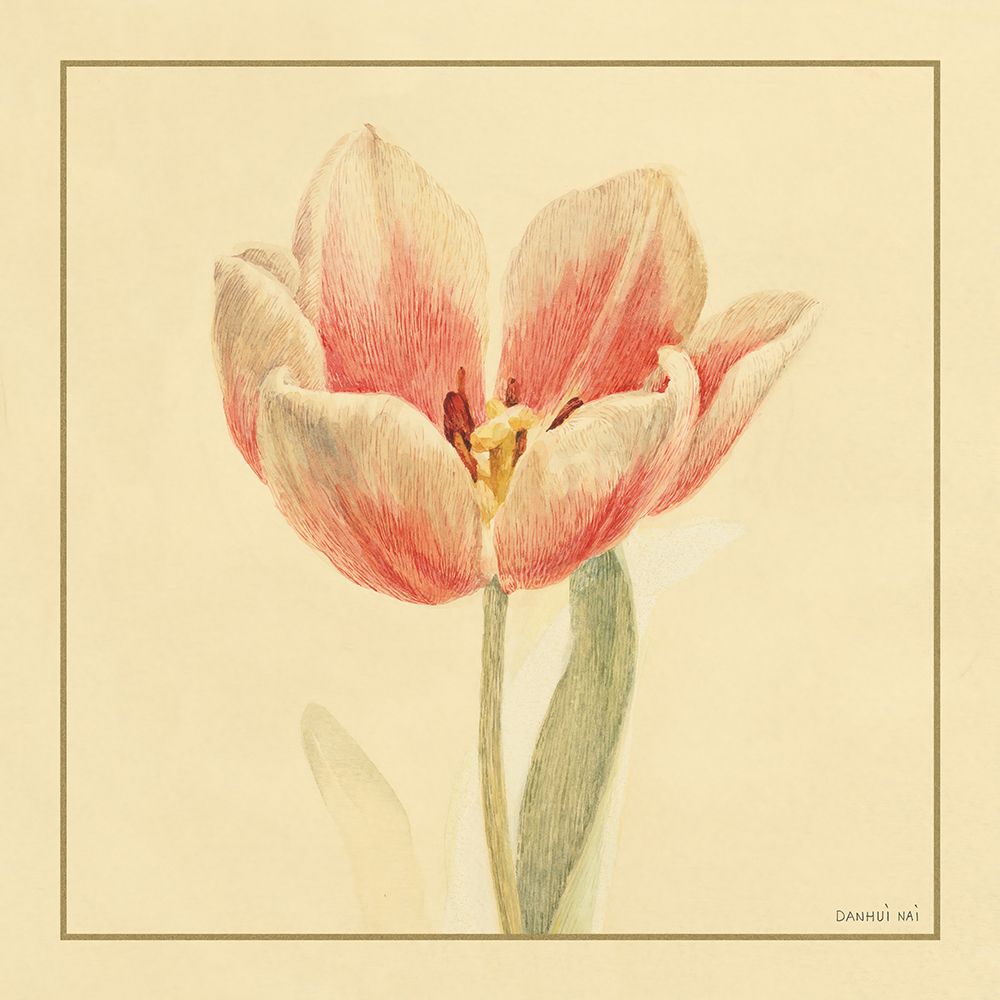 Tulip IV art print by Danhui Nai for $57.95 CAD