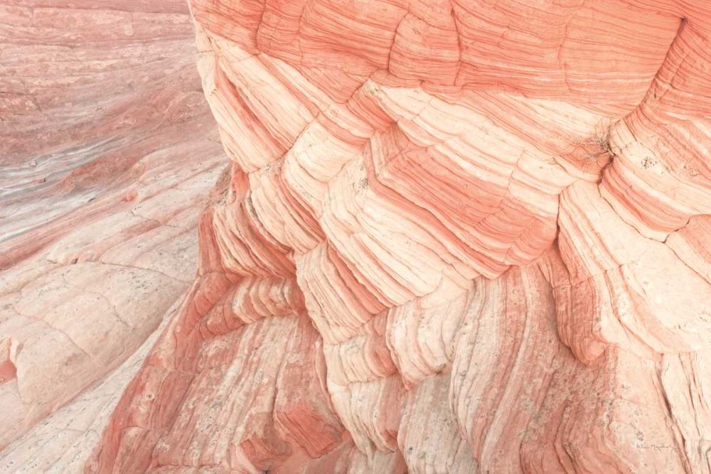 Coyote Buttes VII Blush art print by Alan Majchrowicz for $57.95 CAD
