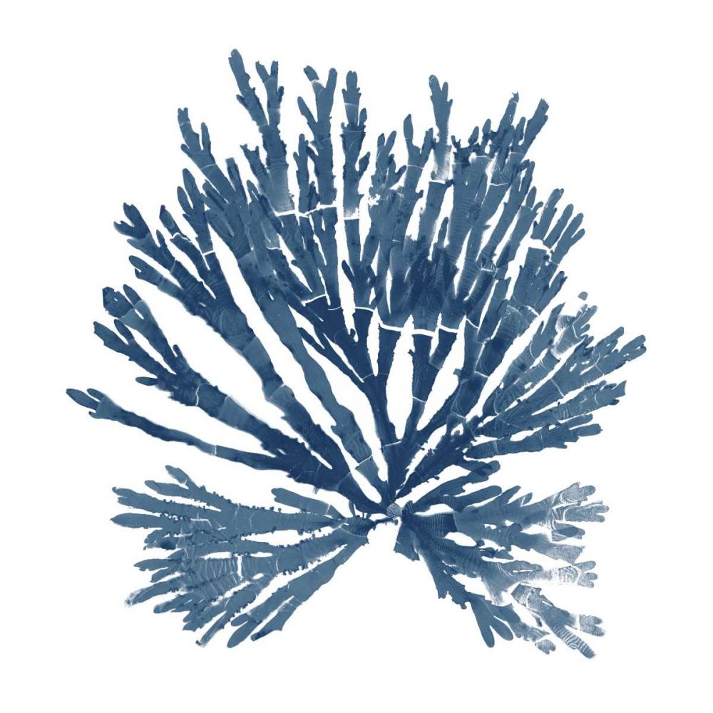 Pacific Sea Mosses Blue on White II art print by Wild Apple Portfolio for $57.95 CAD