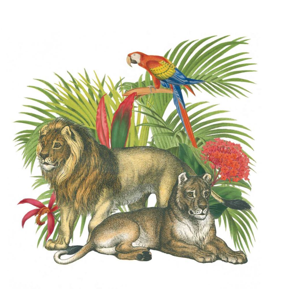 In the Jungle II art print by Wild Apple Portfolio for $57.95 CAD