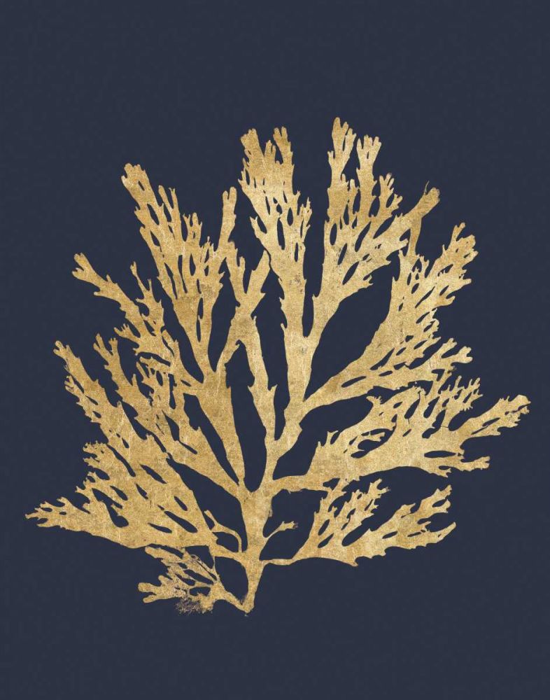 Pacific Sea Mosses I Indigo art print by Wild Apple Portfolio for $57.95 CAD