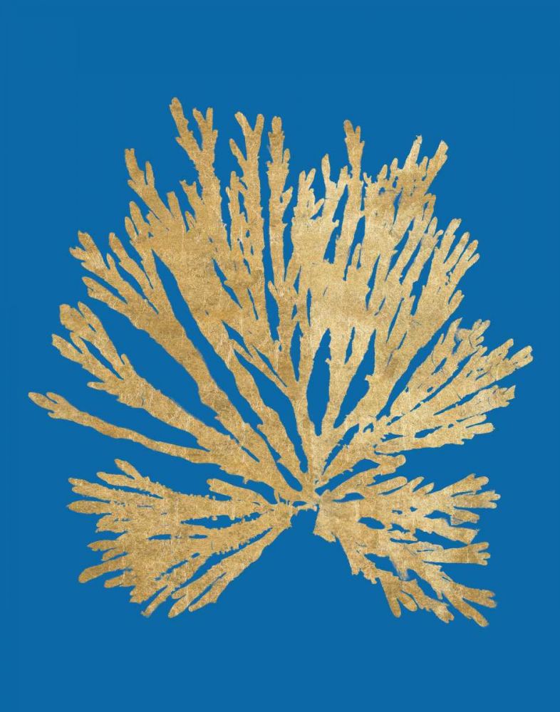 Pacific Sea Mosses II Blue art print by Wild Apple Portfolio for $57.95 CAD