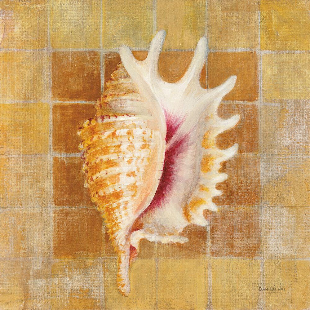 Seashell II art print by Danhui Nai for $57.95 CAD